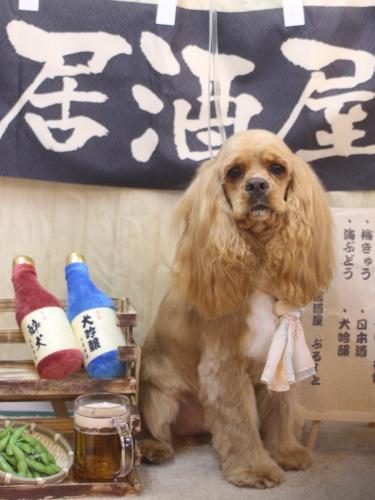 20240611グルートくん